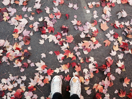Fall Bucket List Ideas